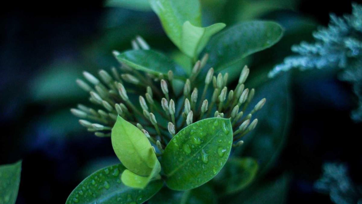 集美大学2025年福建省投档线