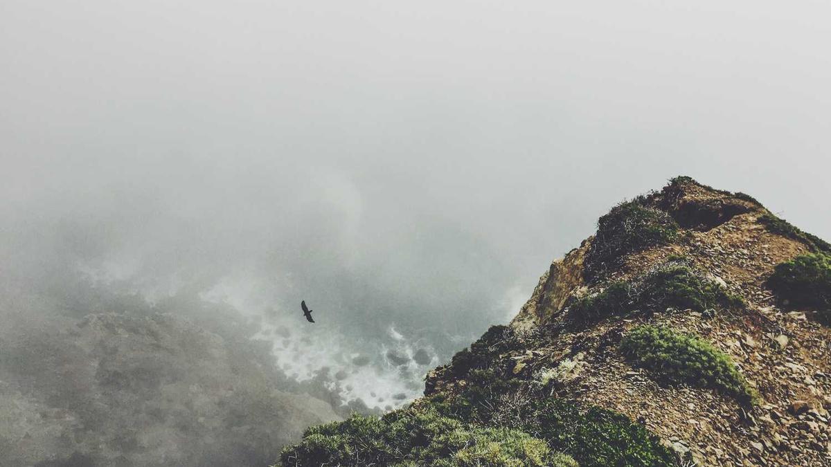 万剑至尊在哪查看【变异恶魔】?