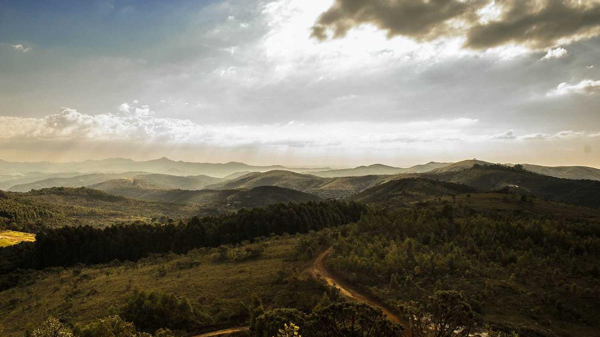 哪个按摩培训学校好