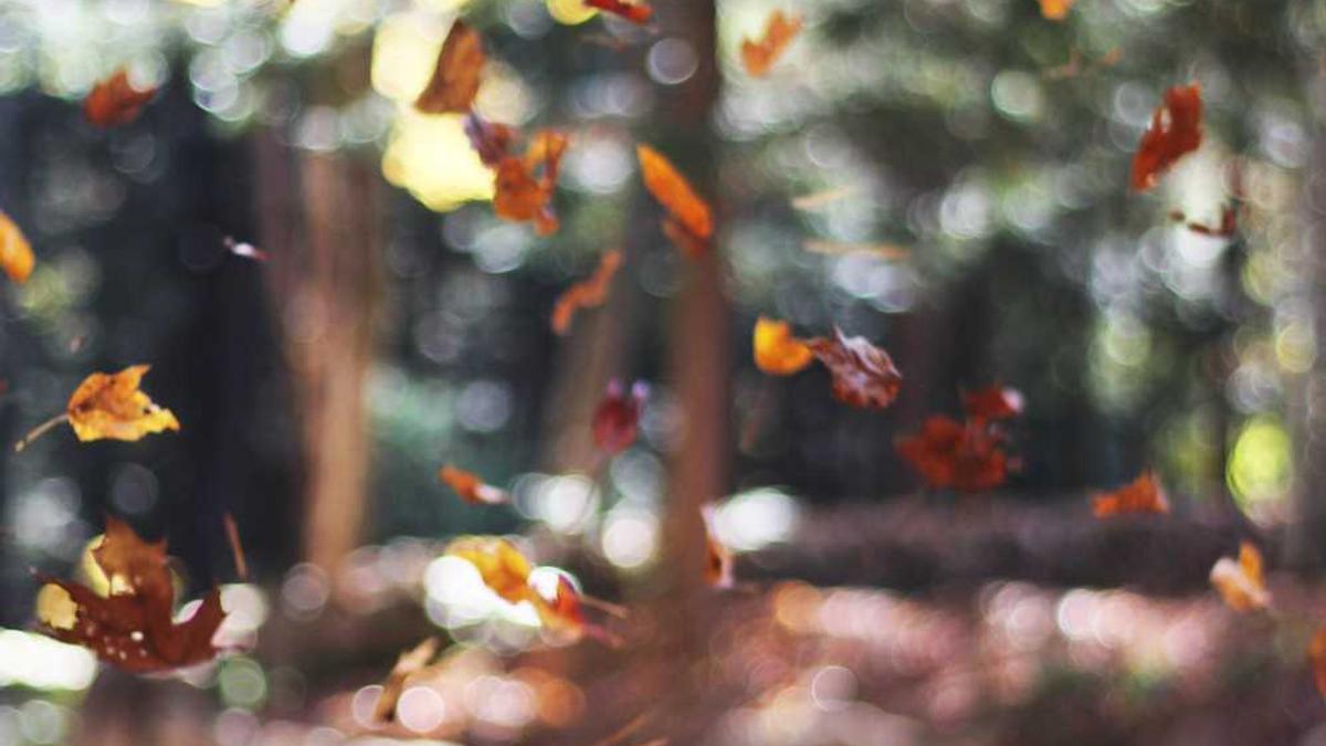 58同城如何保存简历-58同城保存简历至相册方法一览