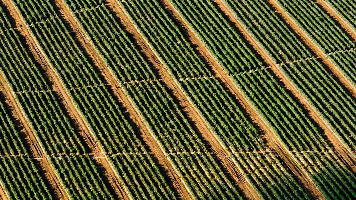 四川北路历史变迁