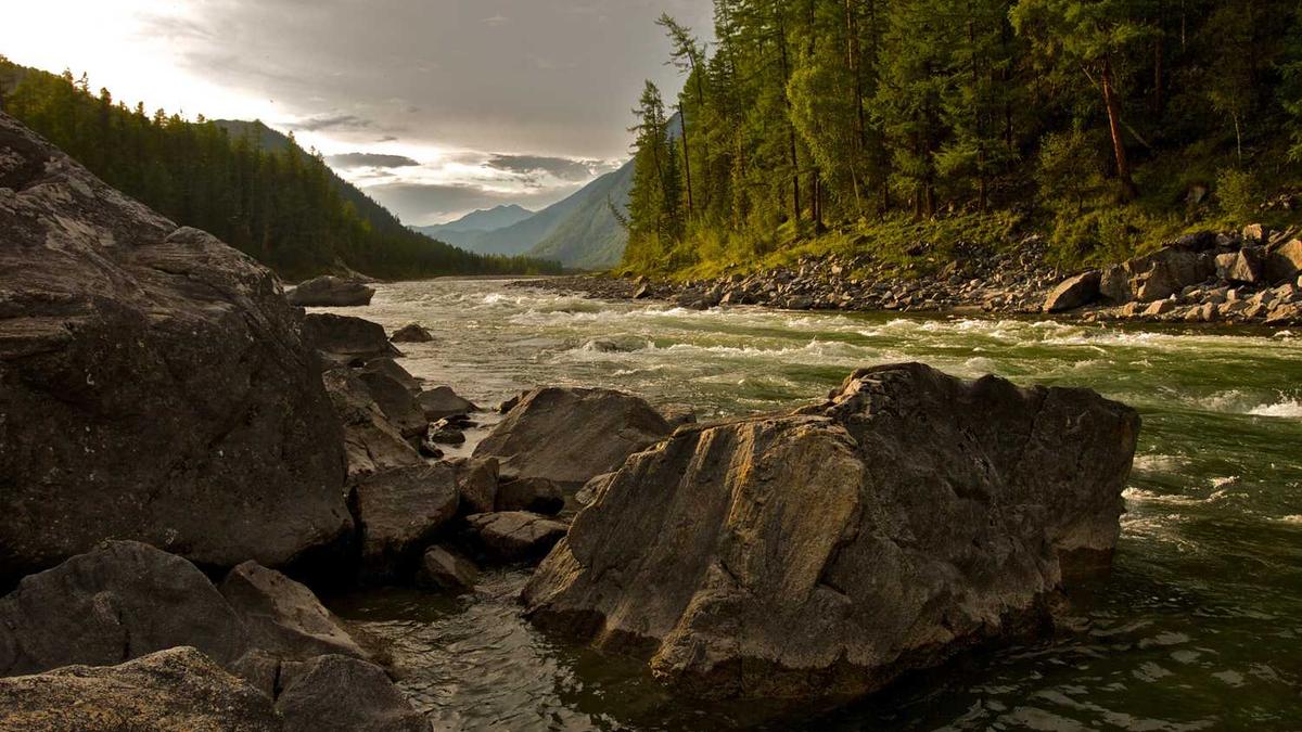 上海比较好的浴场在哪?有没有像马鞍山翠林那种的 有吃有按摩的 能有…