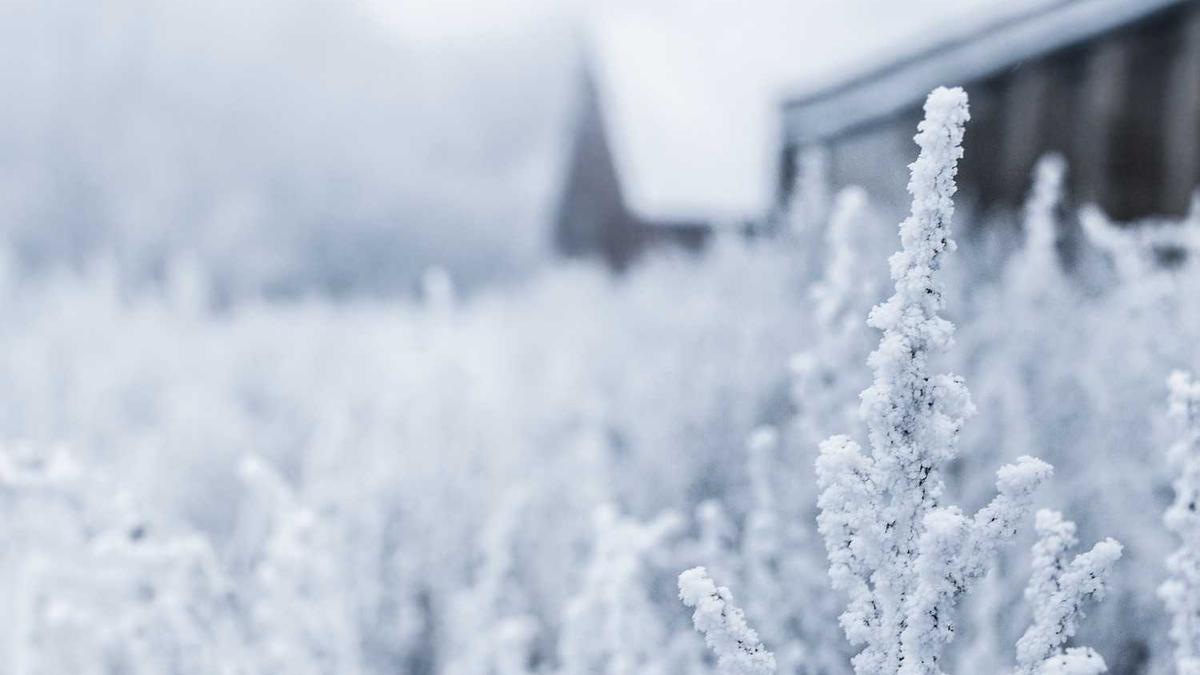 …先交了定金100,然后说剩下的货到付款,晚上打电话说