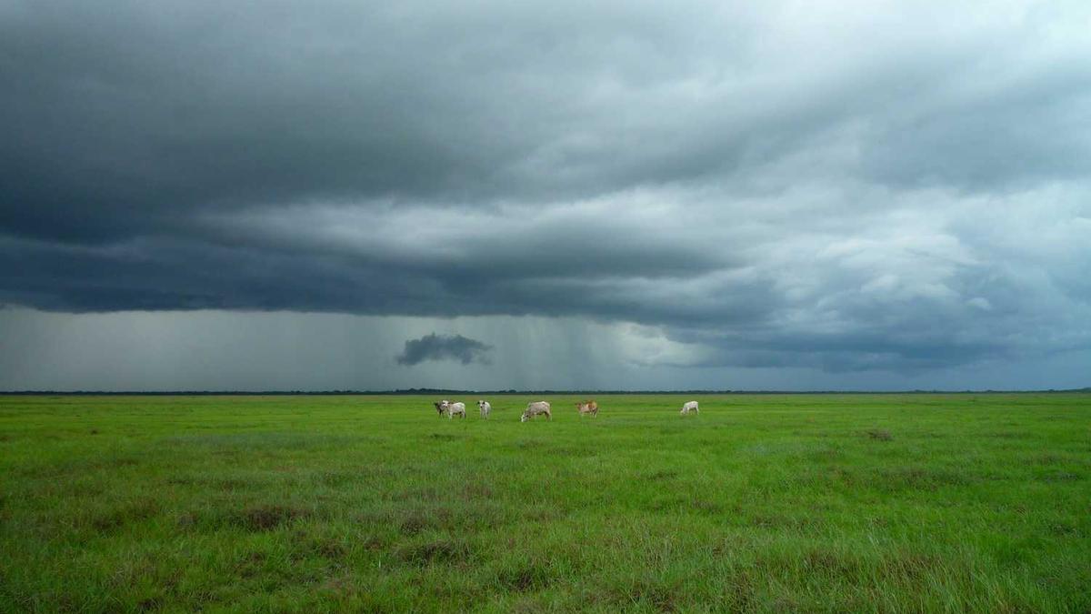 f1电影有没有彩蛋