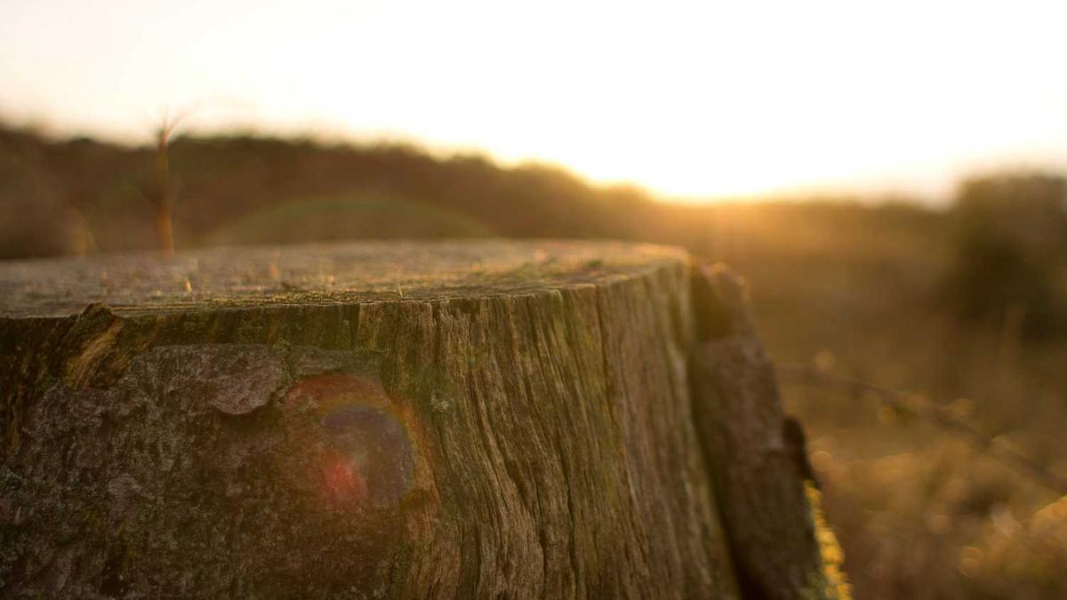林志颖老婆怎么追到林志颖的