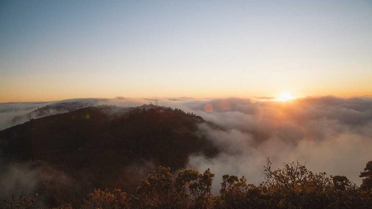 8005中国红冠号大全