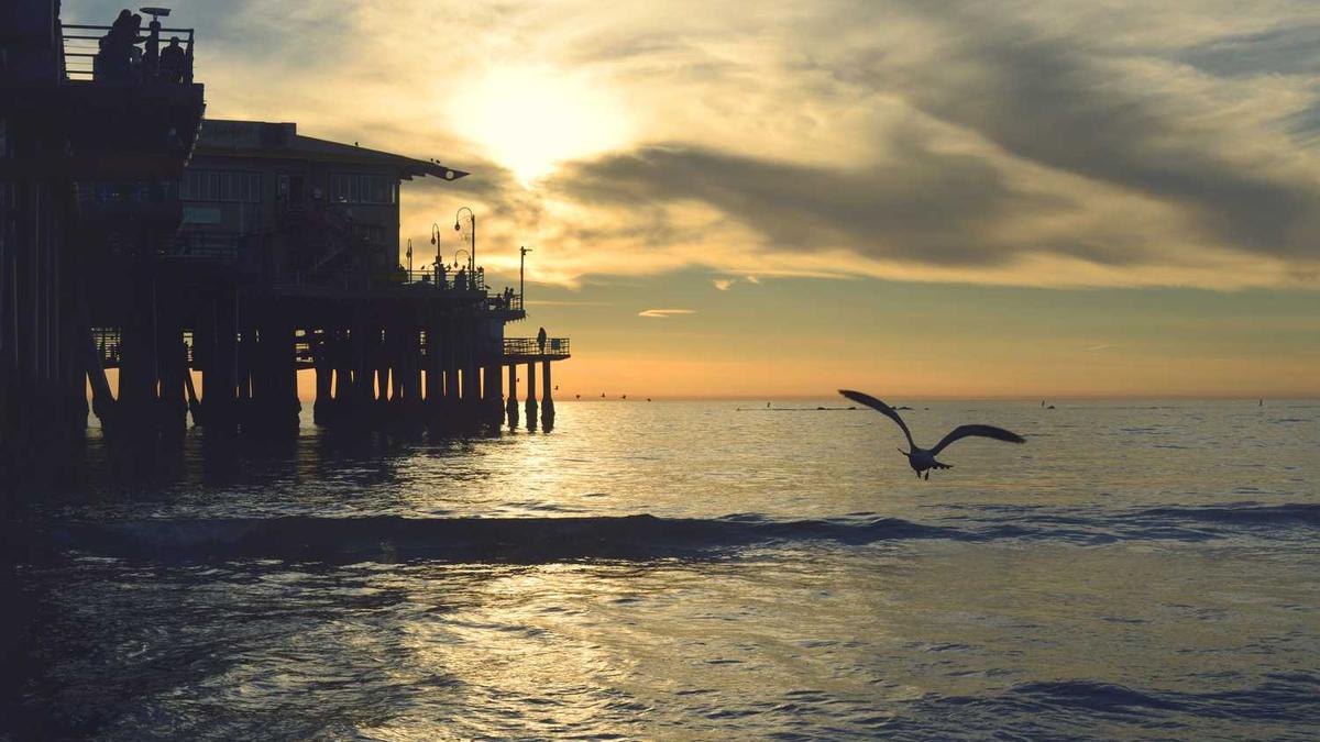 闹大了!上海女教师勾引16岁男生开房被丈夫举报,聊天记录不堪入目