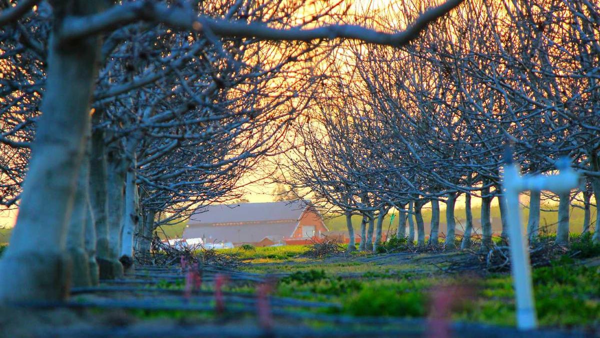 58同城手机版怎么发布信息然后再加上图片?