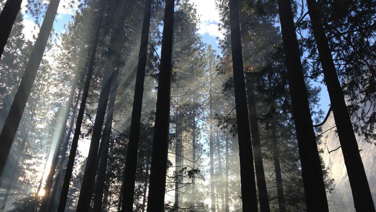 uuutalk软件干嘛的