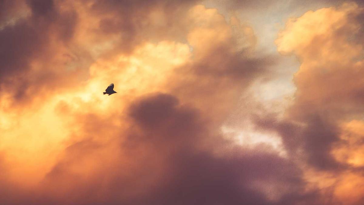 膝盖关节炎可以自愈吗