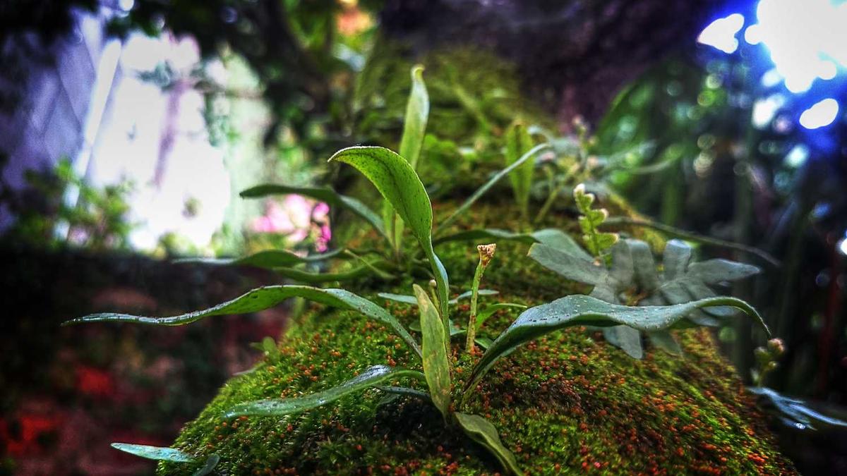 上海有哪些汉堡店的知名度比较高?