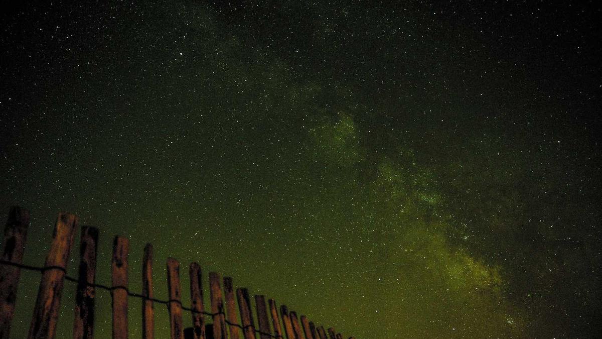 中国快餐品牌排行50强是什么?