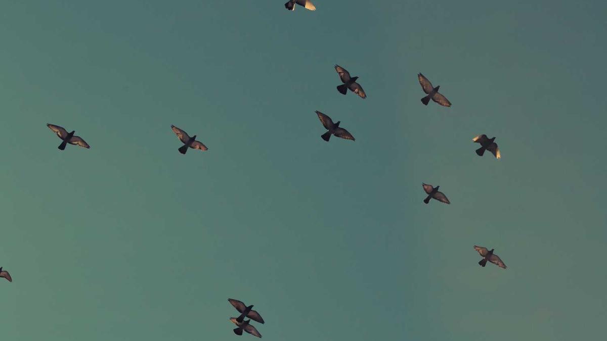 比较有名的餐饮加盟品牌有哪些?