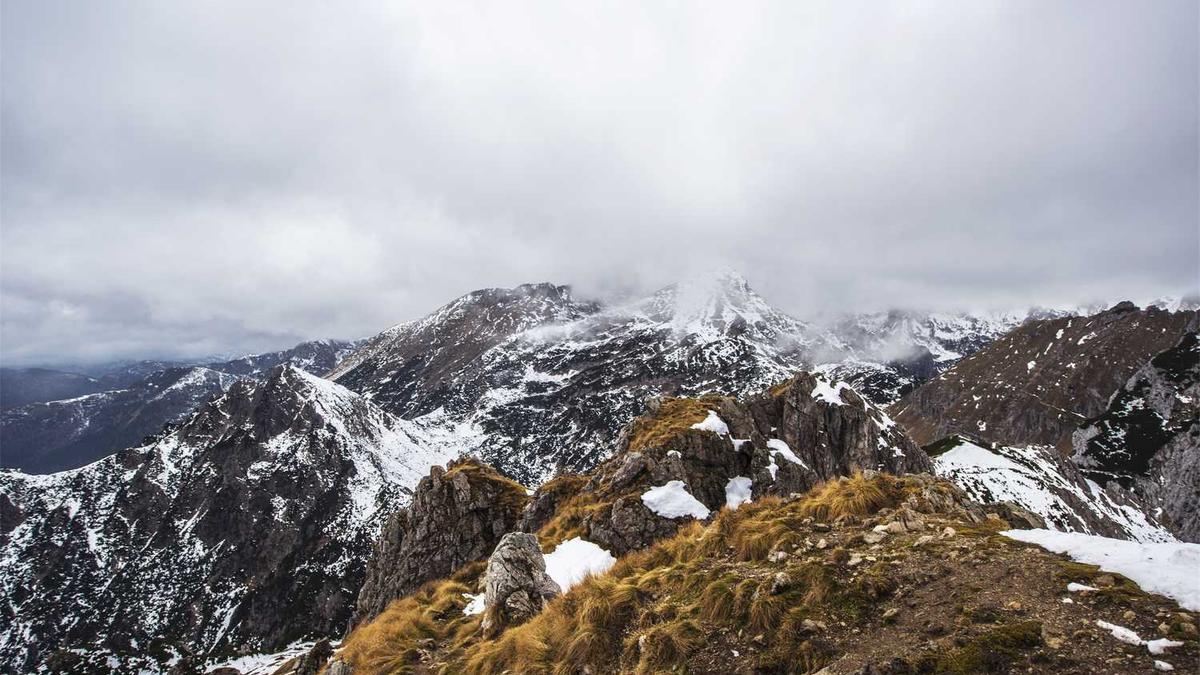 按摩女和技师有区别吗?