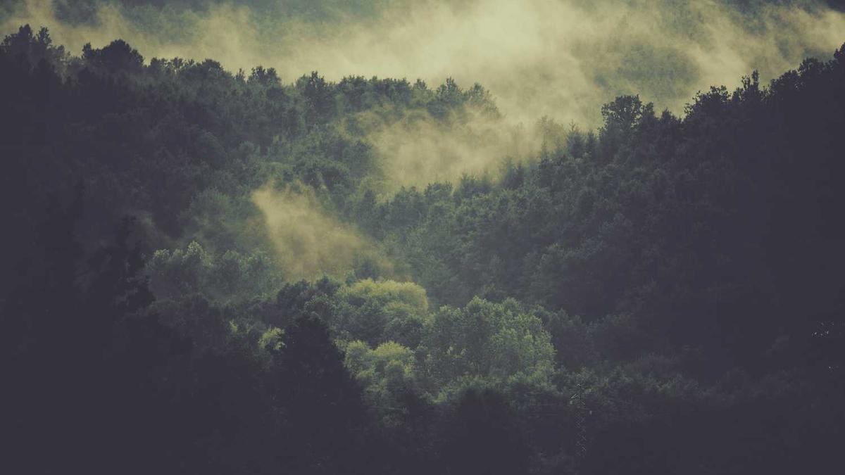 上海租房全攻略(一)