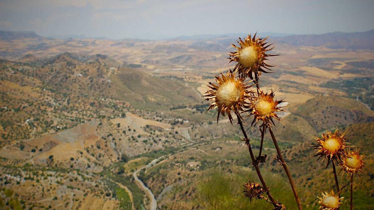 上海深源体育馆附近喝茶的地方有吗?有没有叫一个茶识地的地方?