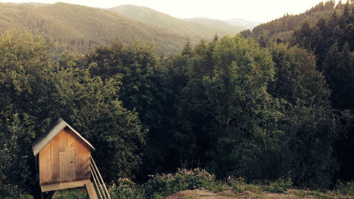 炉石传说渊狱至尊图鉴-炉石传说渊狱至尊属性介绍