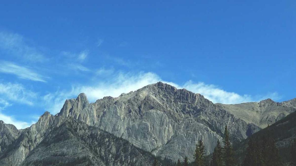 大众点评spa荤素区别在哪