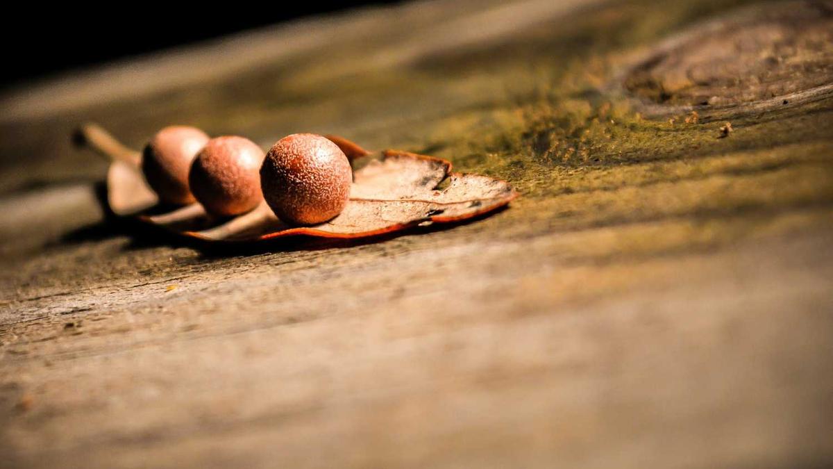 上海有哪些便宜的公寓