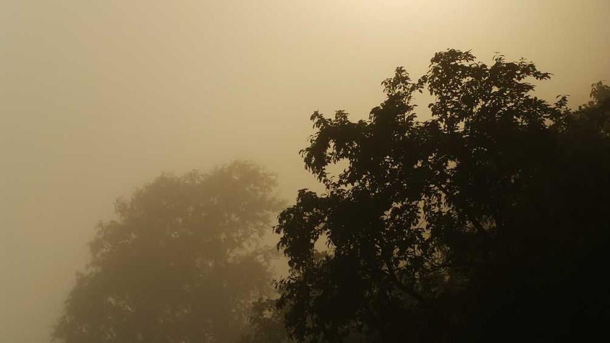 老公找陪酒女算婚内出轨吗