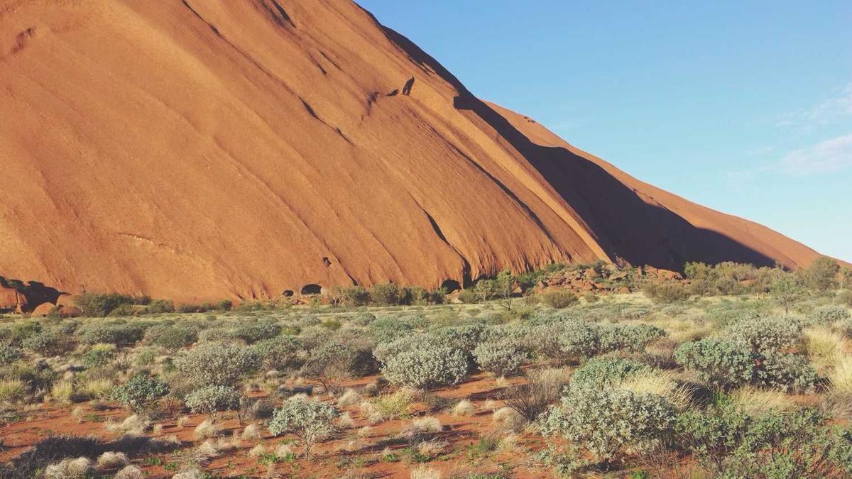 枣庄按摩店 哪个好