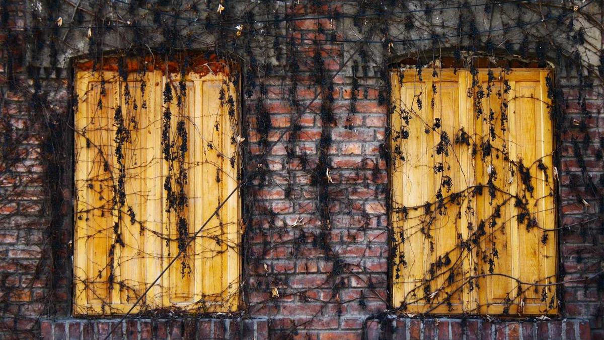 足浴店的女技师能追到吗?