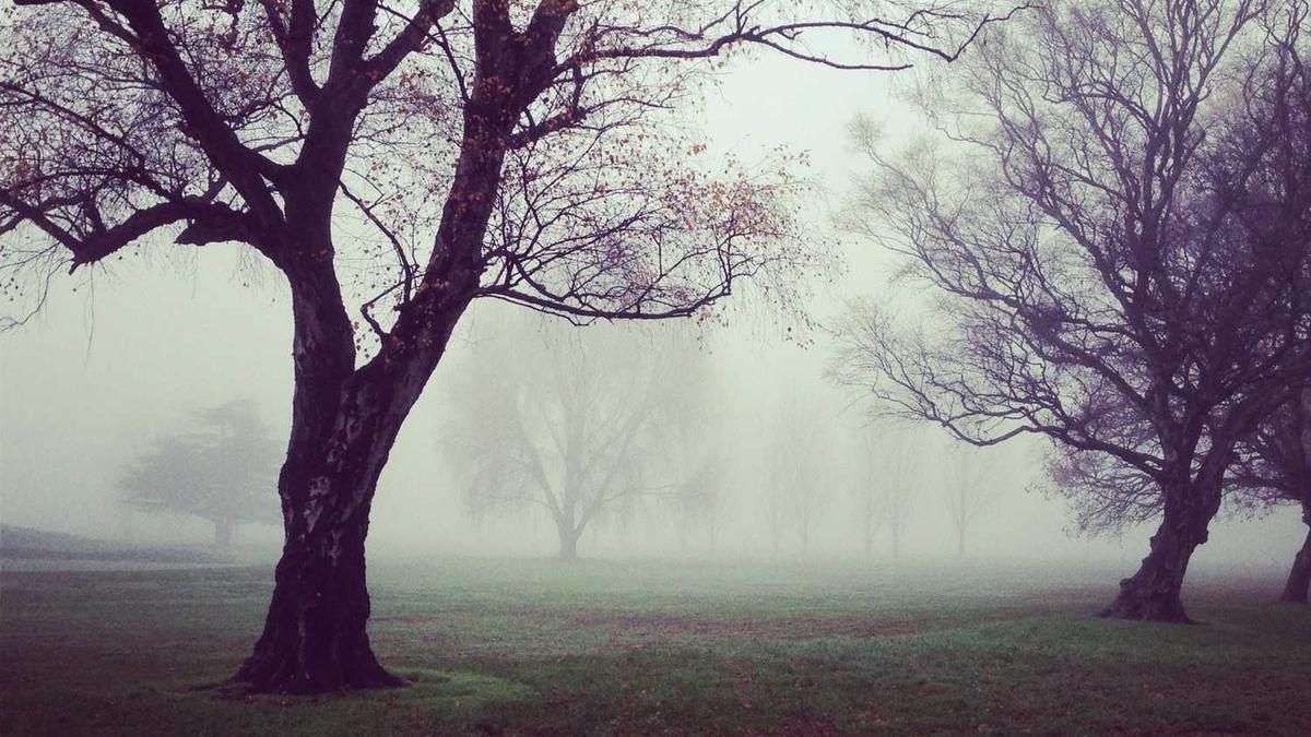 一定要学会的9个喝茶礼仪