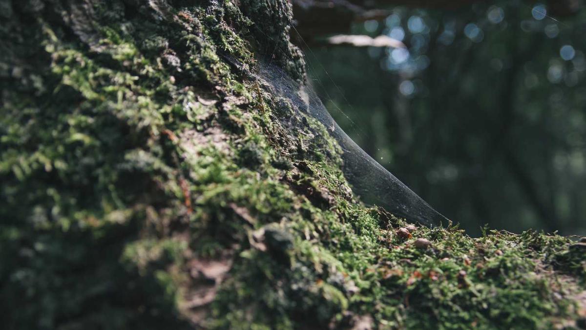 与你到永久 这是一首歌