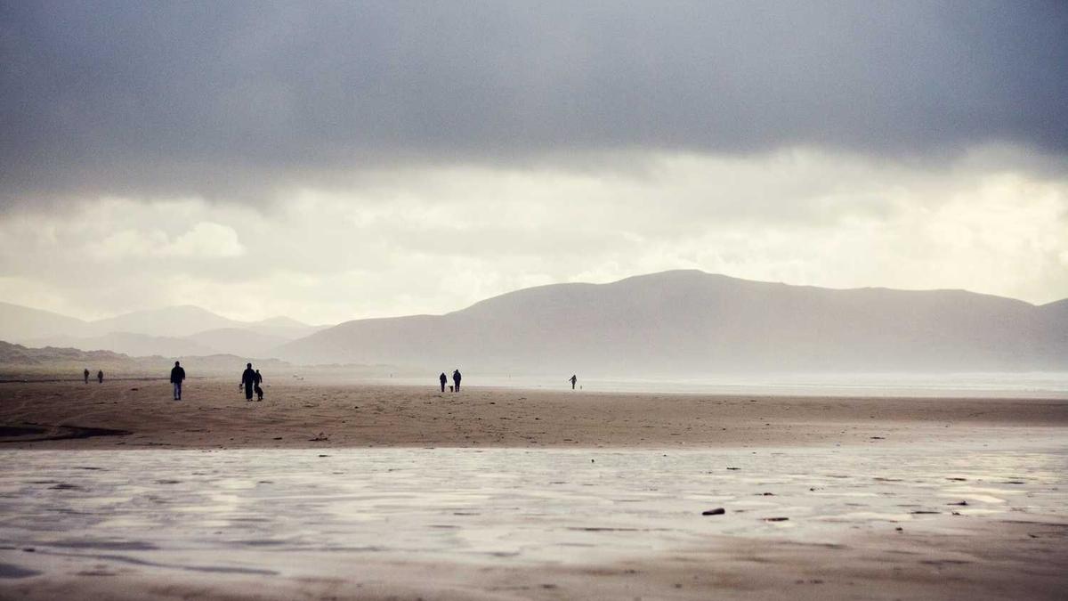 每天喝茶可以减肥吗