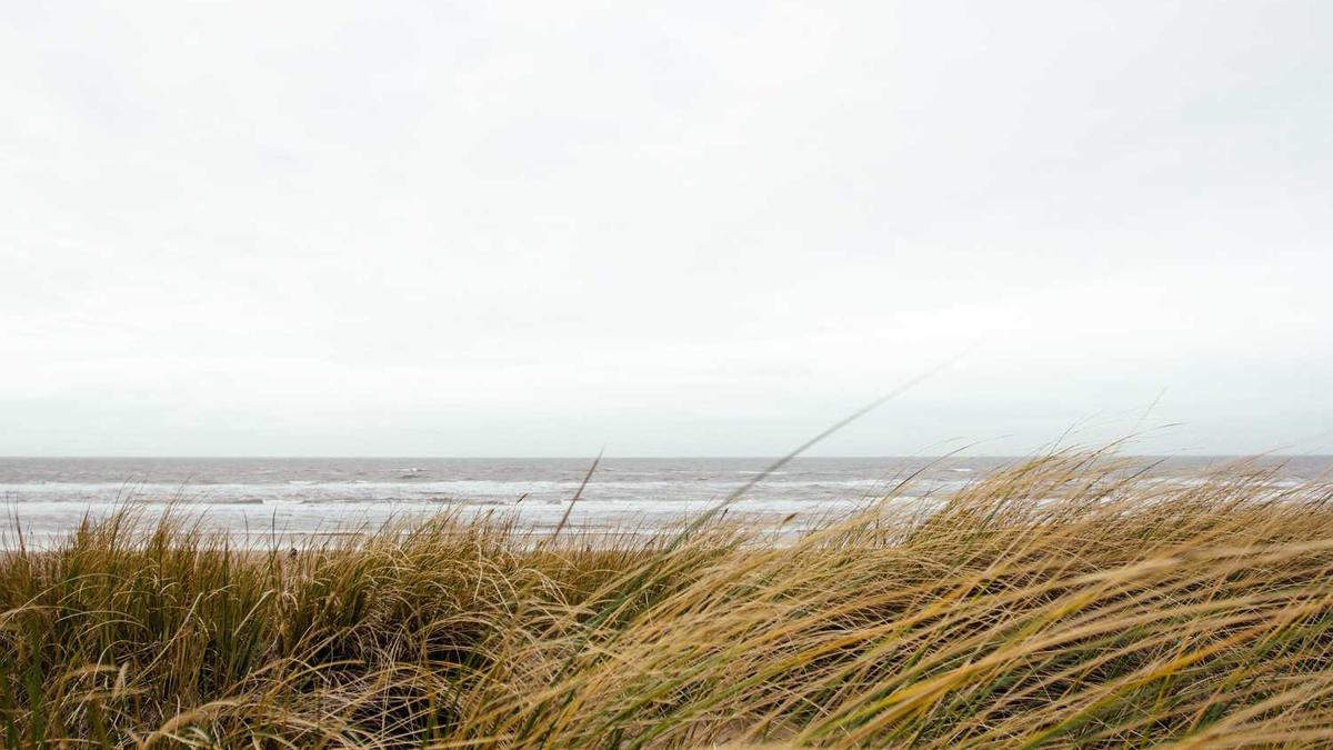 沉默的荣耀 电视剧简介