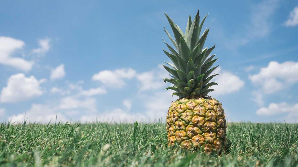 深圳服装批发市场具体有那几个位置?