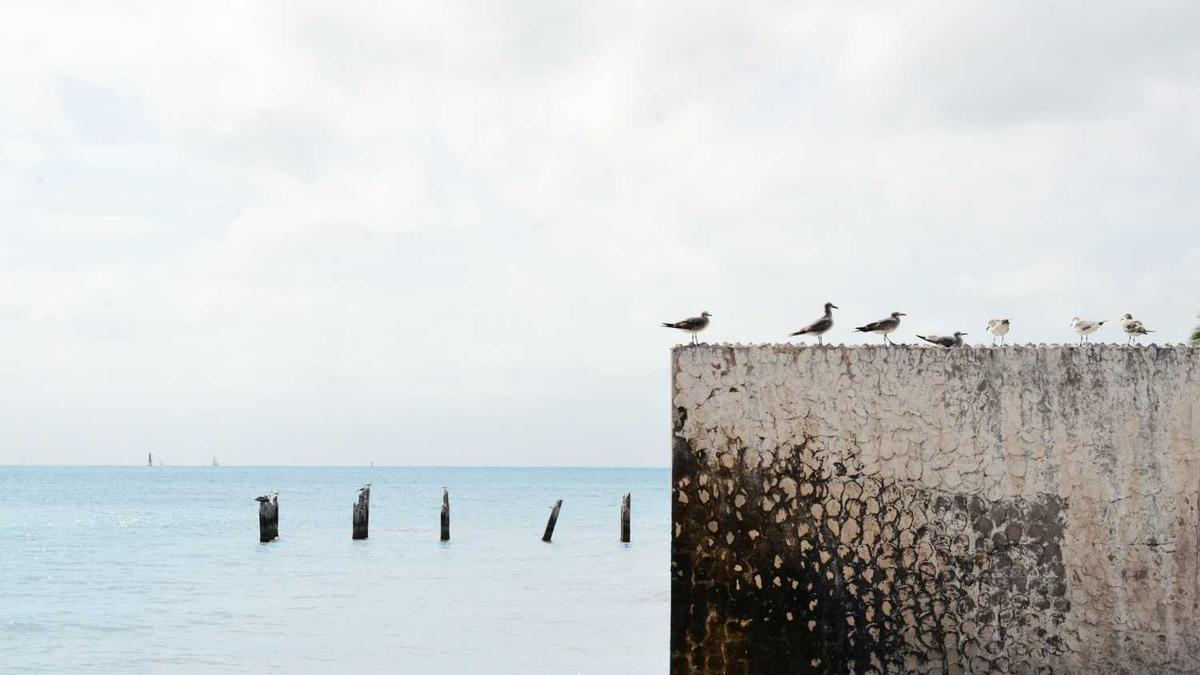 坠入他的一往情深短剧剧情介绍