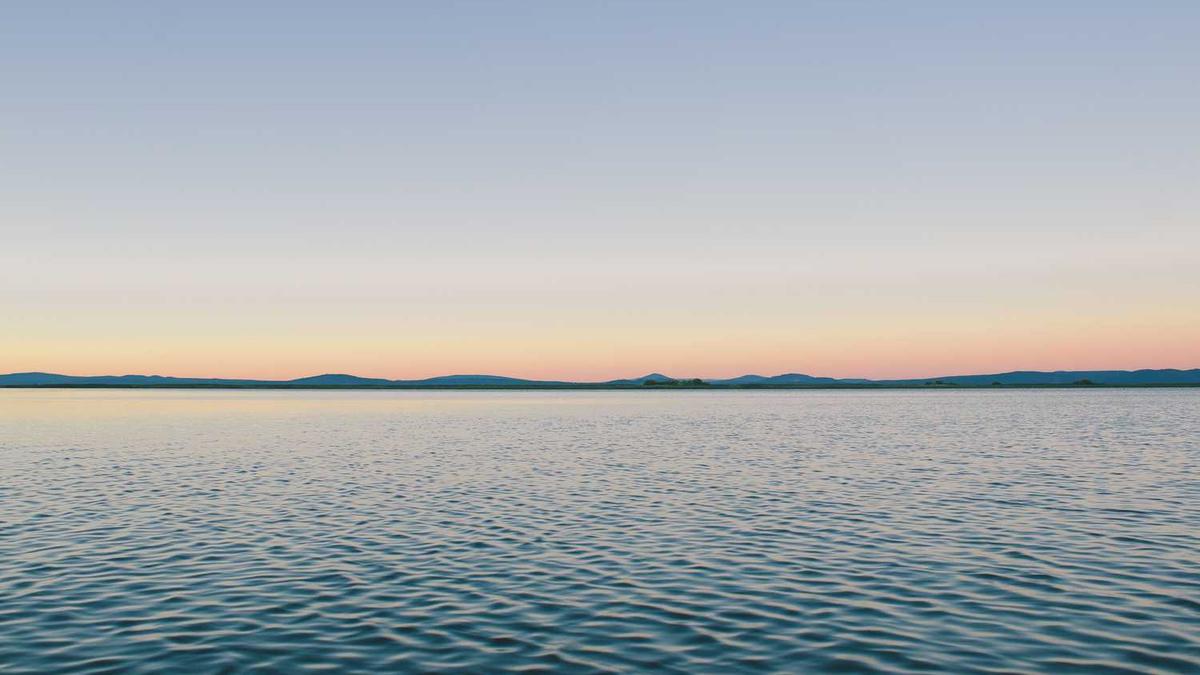 王小亿最火的十部短剧