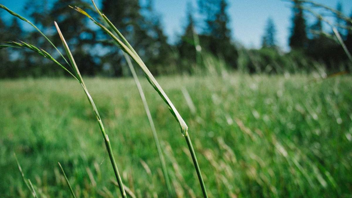 糖尿病能活多少年