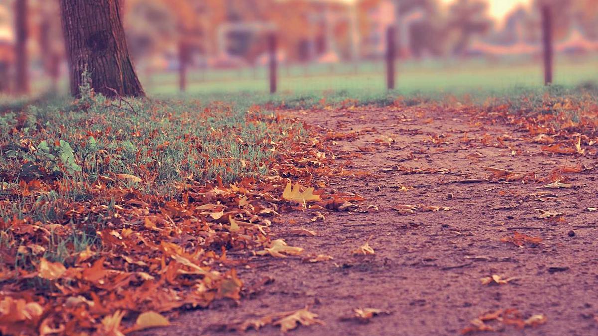 seo是什么意思怎么样(企业seo)