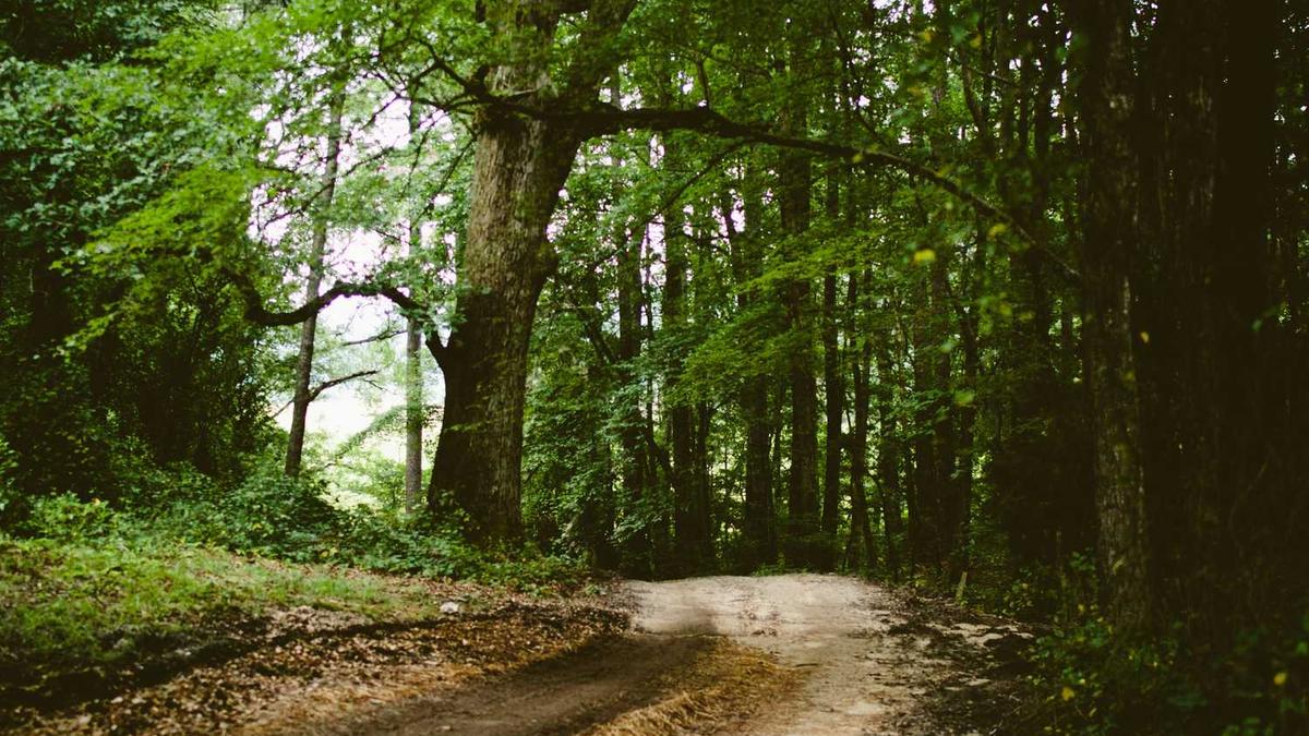 艾滋病需要过多久才能去检测确认啊?前不久去找了一次小姐,最近感觉一直…