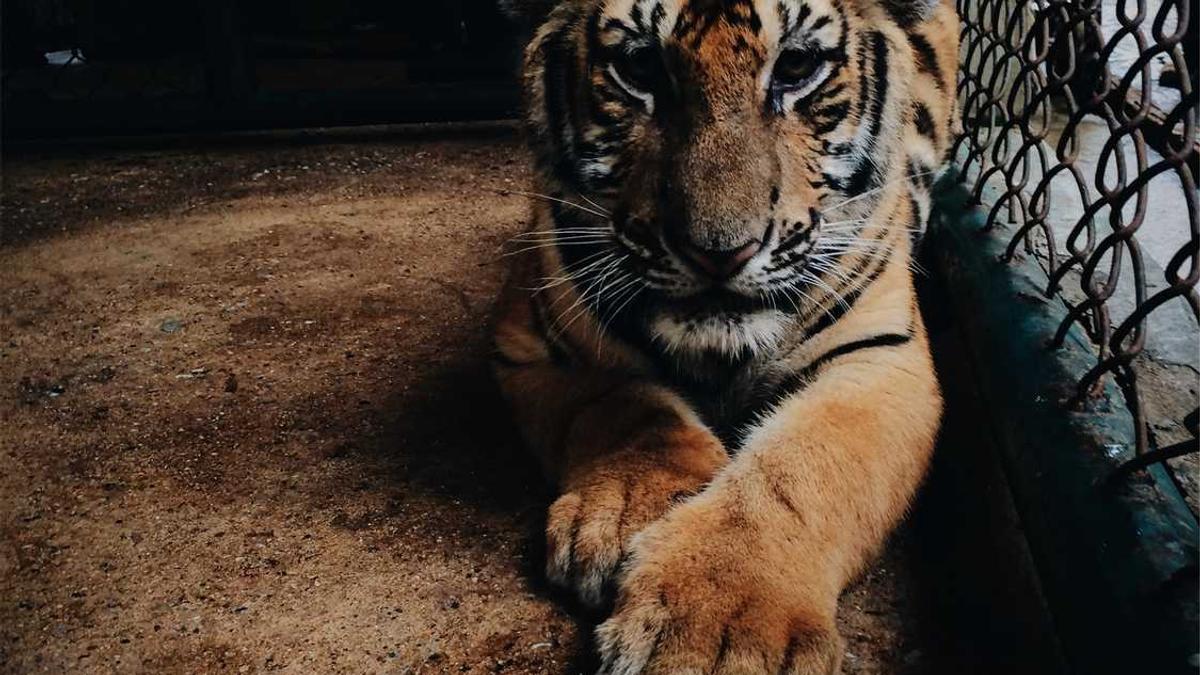 梦幻手游时光宝盒攻略