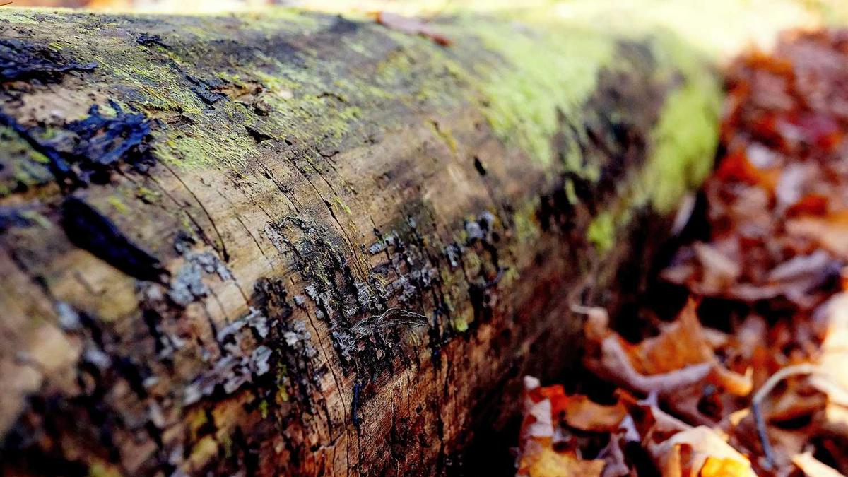 城市戏称有哪些