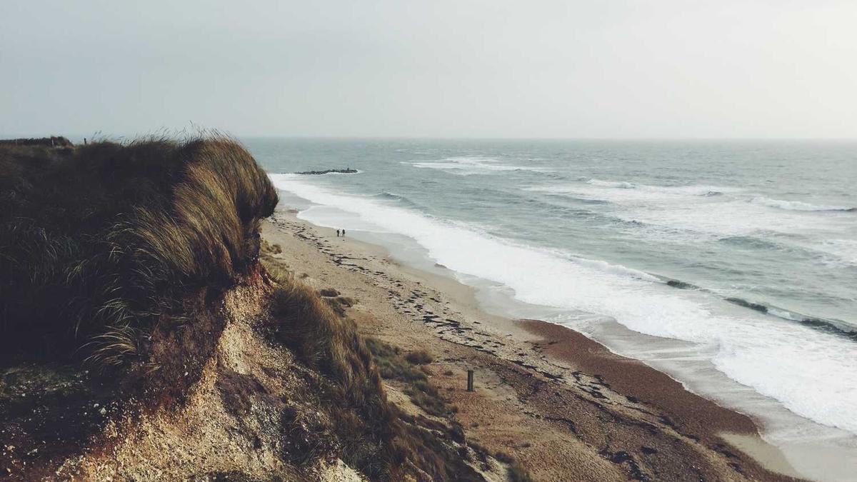 拒绝“撒币”,企业如何做好SEO自然排名?