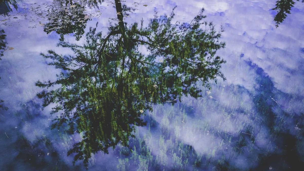 怎么样才能在SEO中有个好的排名