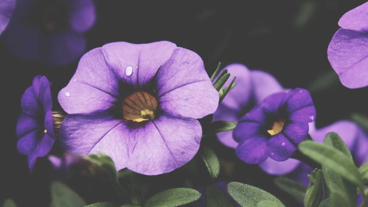 带手表过敏发痒怎么办