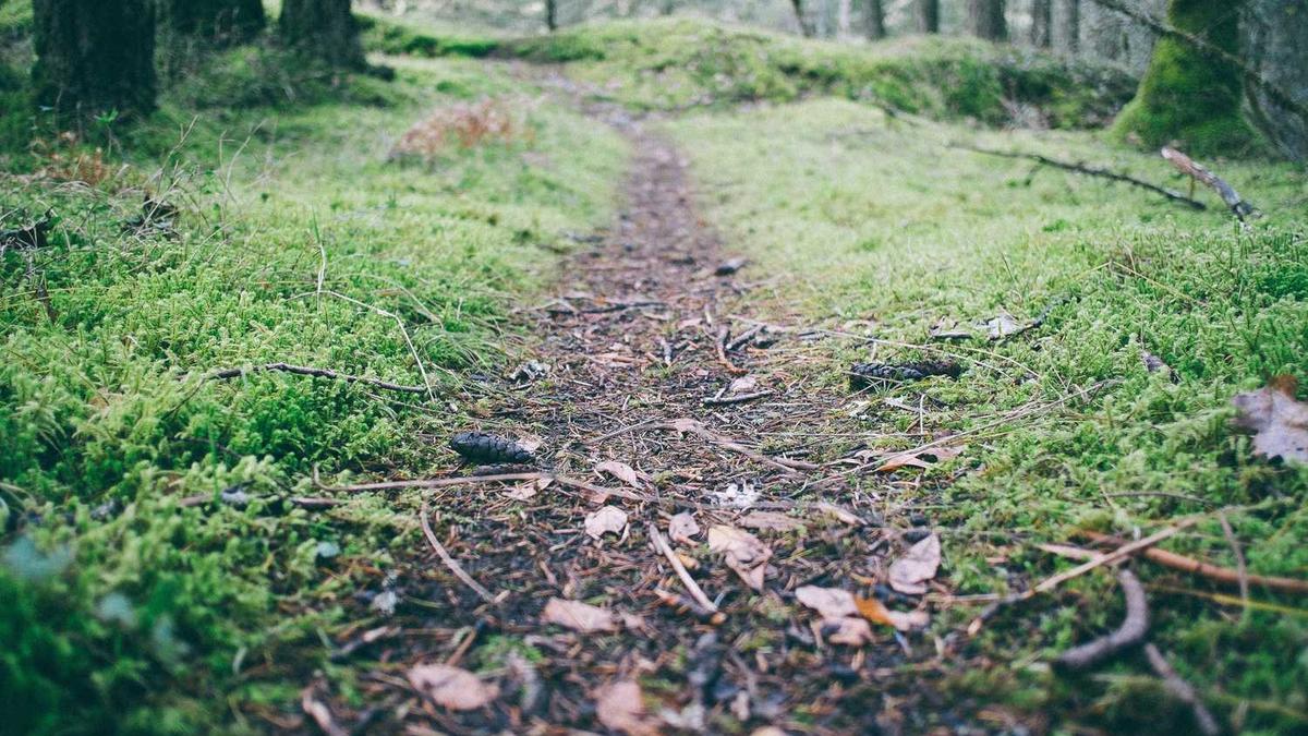 高血压分级及危险分层危险因素