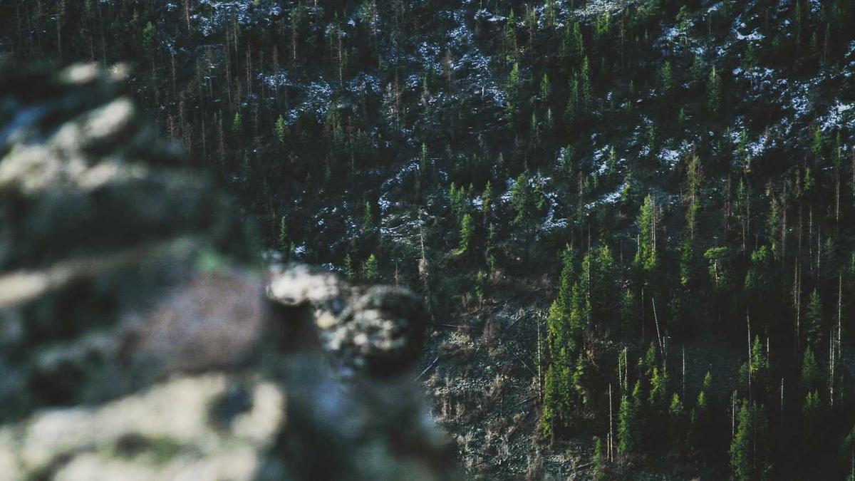 按摩精油和精油一样吗?怎么用啊