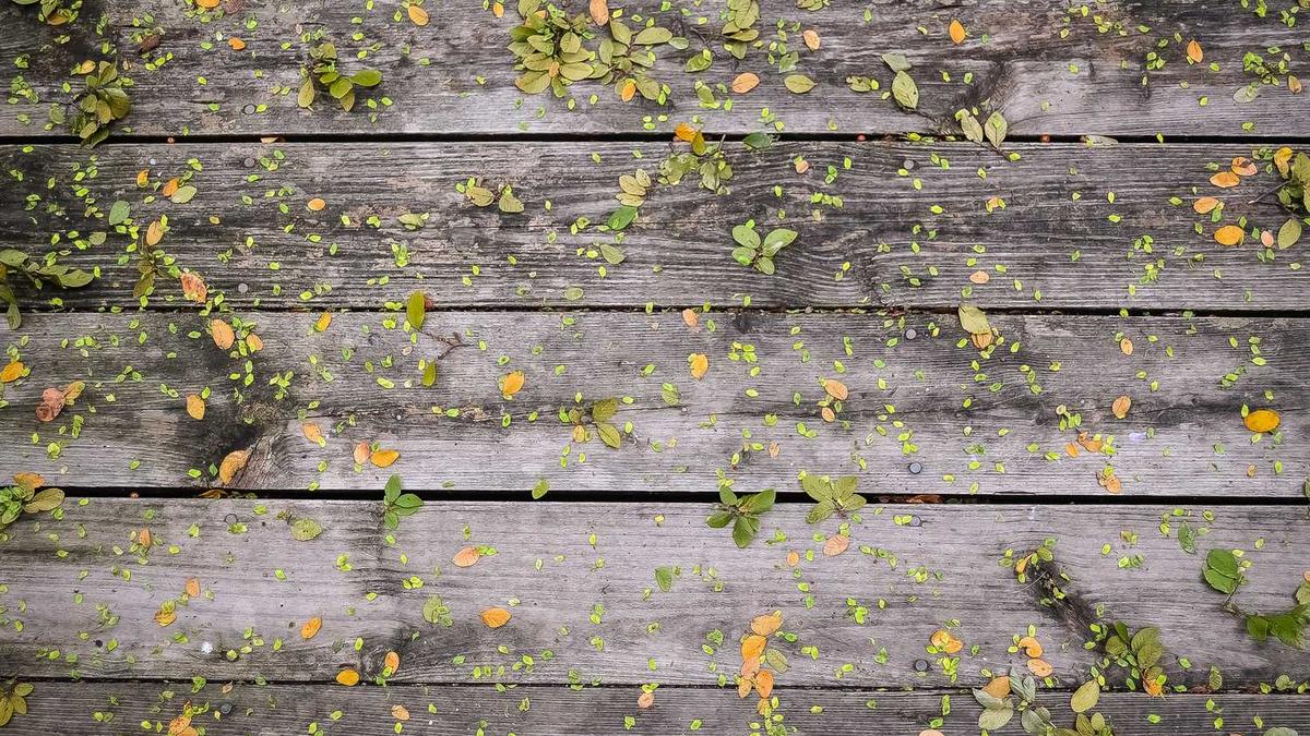 浅表性胃炎吃什么药好