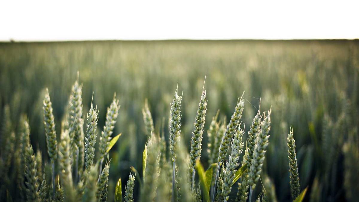 spa养生是干嘛的