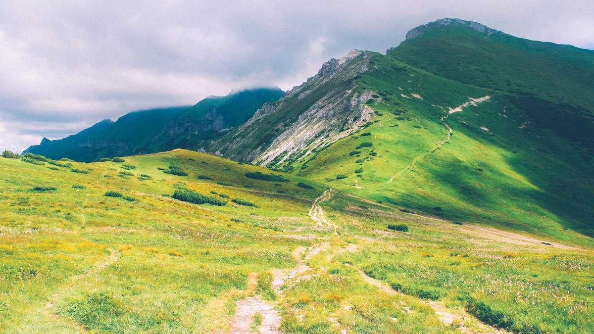 做SPA这一行,女性没法坚持下来是出于什么缘故?