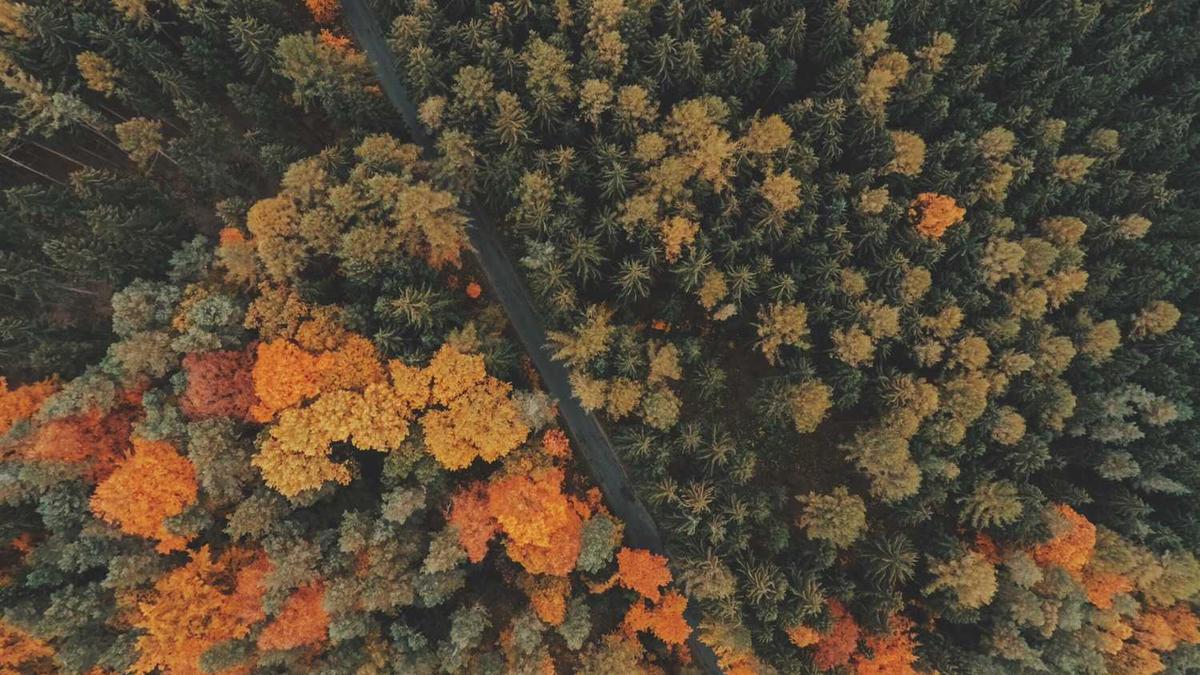 如何查找100米内微信附近的人 查找100米内微信附近的人的方法