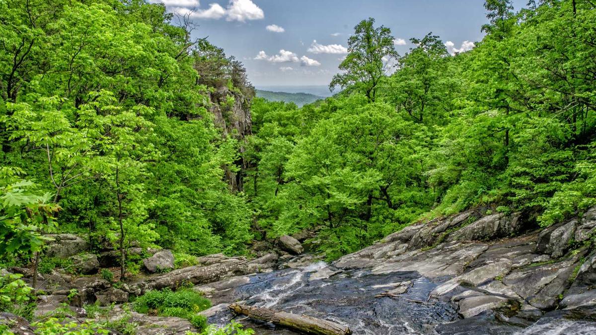 抖音里面附近100米的人是真的吗