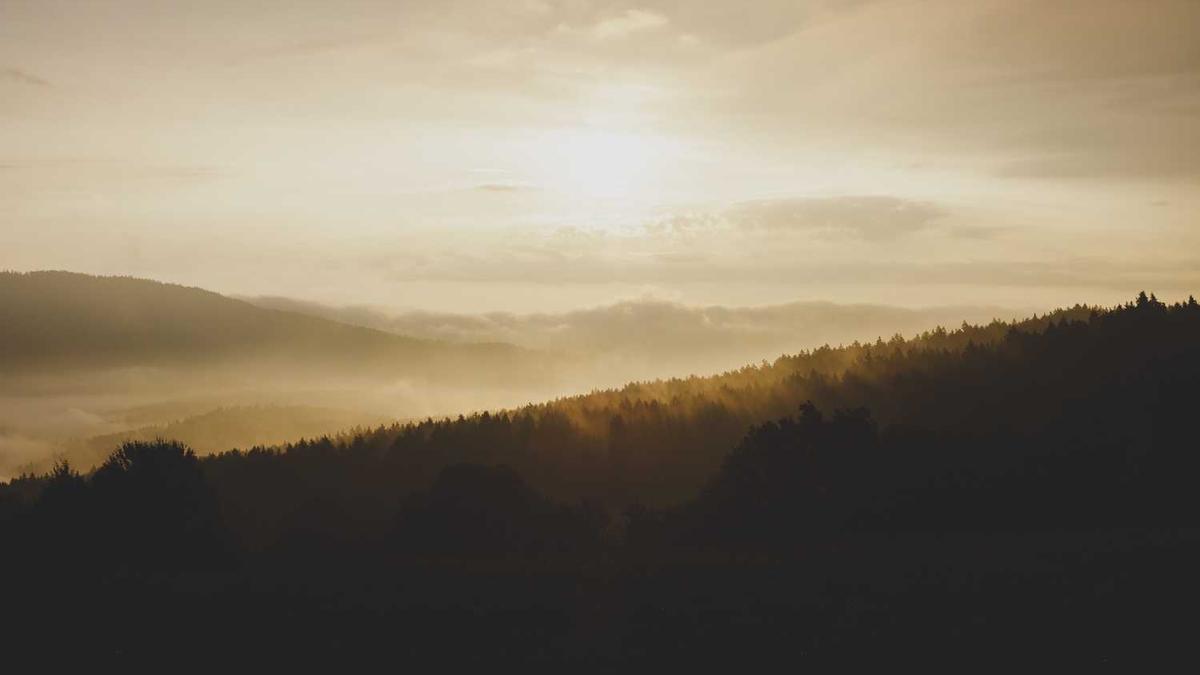 怎么搜索附近的人100米以内 如何搜索附近的人100米以内