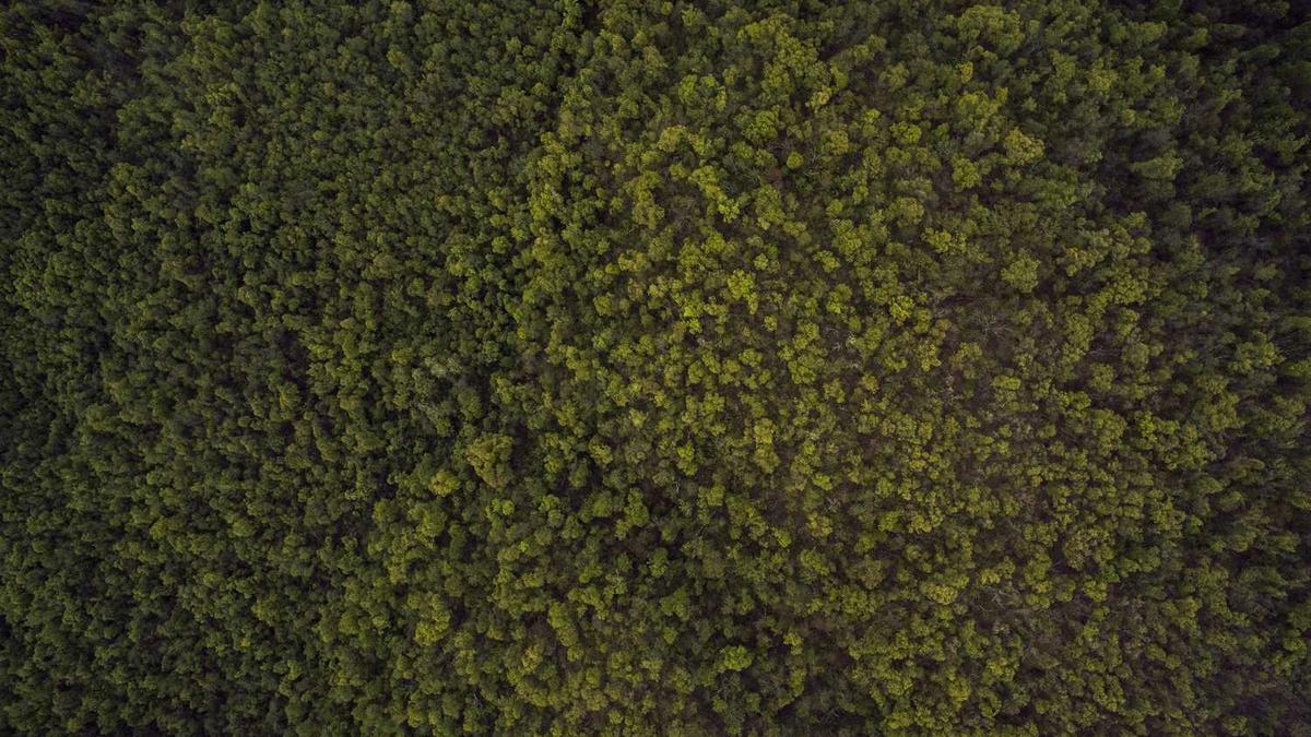 微信怎么找到附近100米以内的人啊。